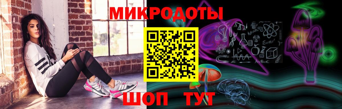 Галлюциногенные грибы Cubensis Пенза