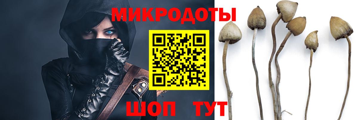 Галлюциногенные грибы Magic Shrooms  Вход с VPN  Пенза  Галлюциногенные грибы Magic Shrooms 